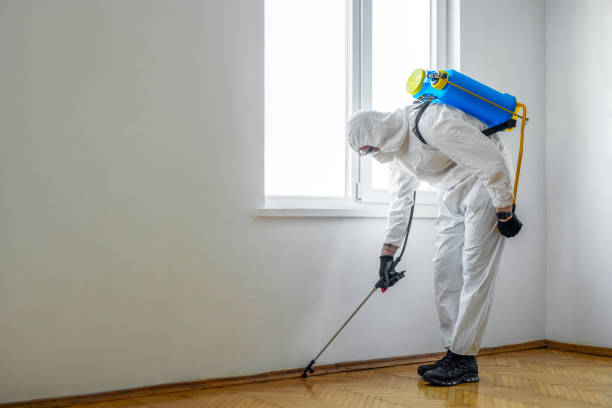 Pest Prevention Services in Seward, AK