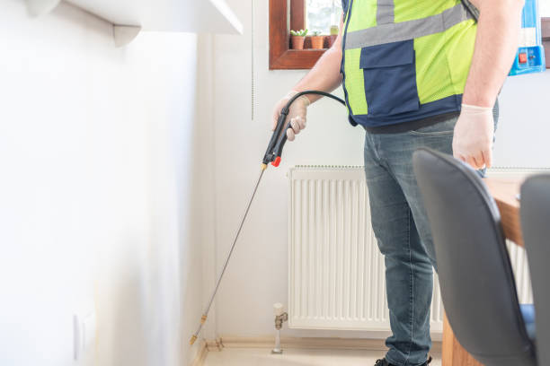 Wasp Removal Services in Seward, AK