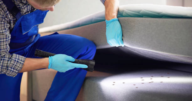 Pest Control Cost in Seward, AK